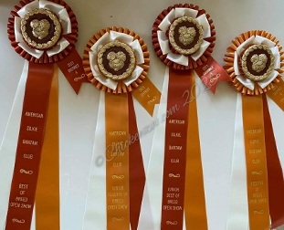 Silkie Ribbon Center Matched to Plaques