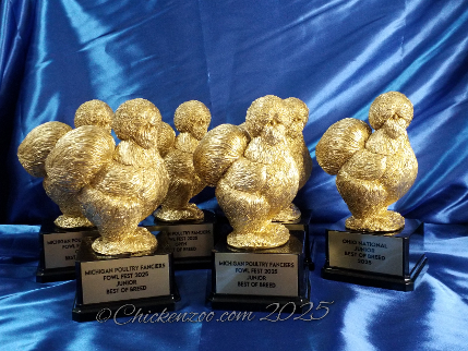 Large Silkie Trophies in Gold