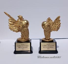 Ayam Serama Roo (Shown With Matching Hen)