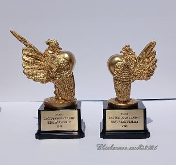 Ayam Serama Roo & Hen in Gold
