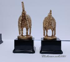 Ayam Serama Hen & Roo Back View